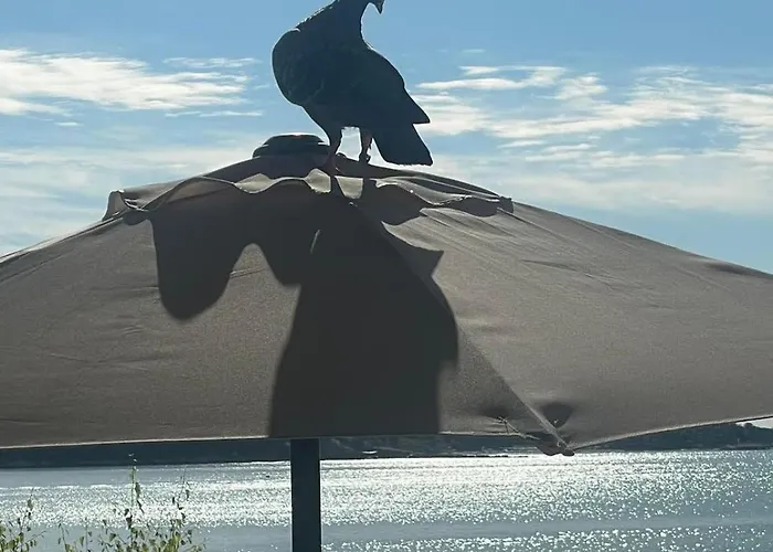 Aura Family Ράβντα